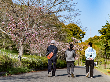 ヘルシーツーリズム桜を愛でる散歩道